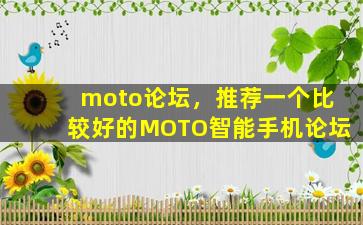 moto论坛，推荐一个比较好的MOTO智能手机论坛