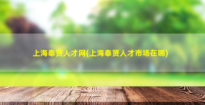 上海奉贤人才网(上海奉贤人才市场在哪)