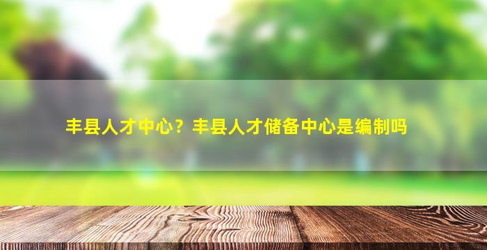 丰县人才中心？丰县人才储备中心是*吗