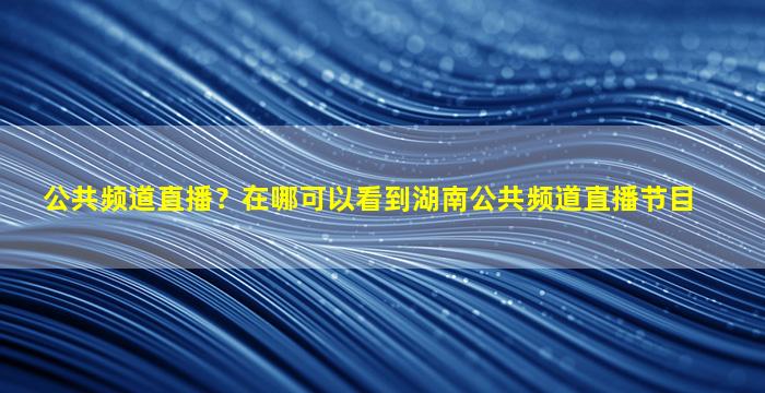 公共频道直播？在哪可以看到湖南公共频道直播节目