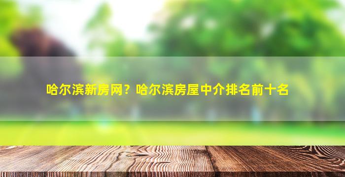 哈尔滨新房网？哈尔滨房屋中介排名前十名