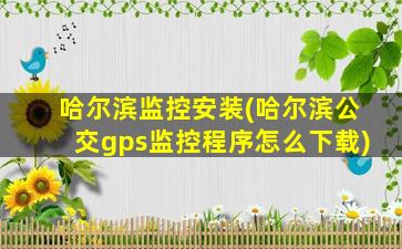 哈尔滨监控安装(哈尔滨公交gps监控程序怎么下载)