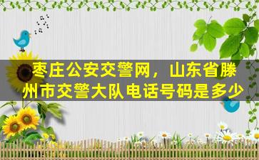 枣庄*交警网，山东省滕州市交警大队电话号码是多少