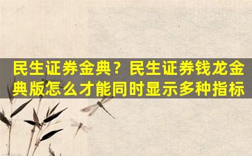 民生证券金典？民生证券钱龙金典版怎么才能同时显示多种指标