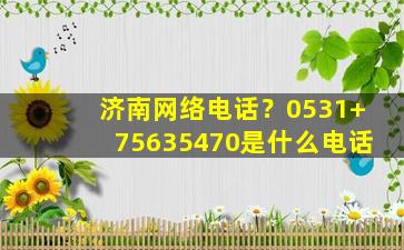 济南网络电话？0531+75635470是什么电话