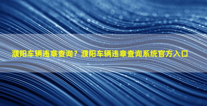 濮阳车辆违章查询？濮阳车辆违章查询系统官方入口