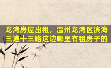 龙湾房屋出租，温州龙湾区滨海三道十三路这边哪里有租房子的